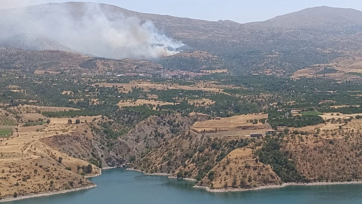 Malatya'da orman yangı: