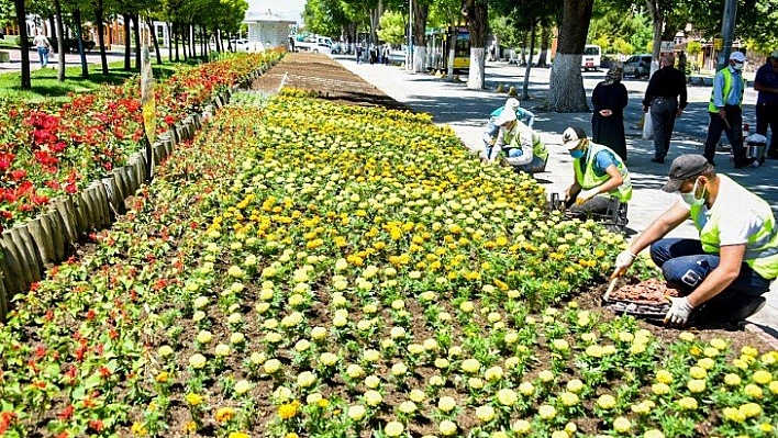 Parklar çiçeklerle süsleniyor