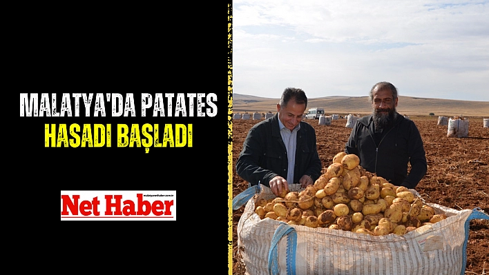 Malatya'da patates hasadı