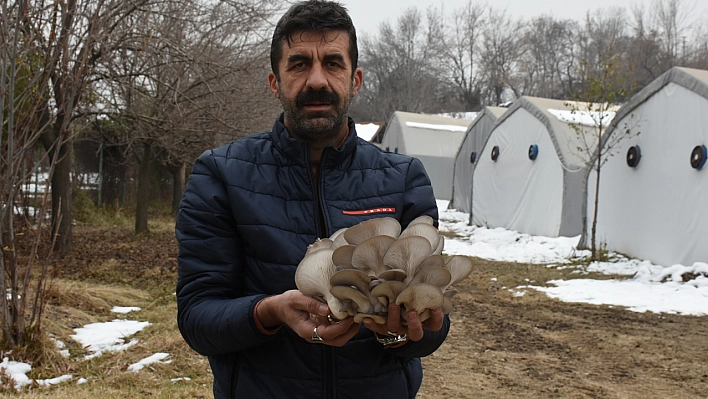 Malatya'da Sadece 7 Tesiste Yılda 95 Ton Üretim Yapılıyor!