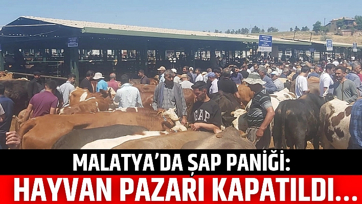 Malatya'da Şap Paniği: Hayvan Pazarı Kapatıldı…