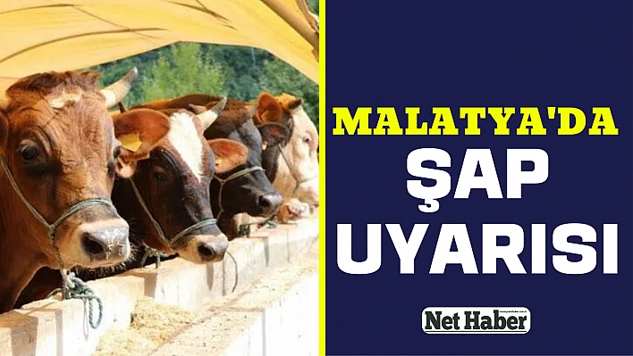 Malatya'da şap uyarısı