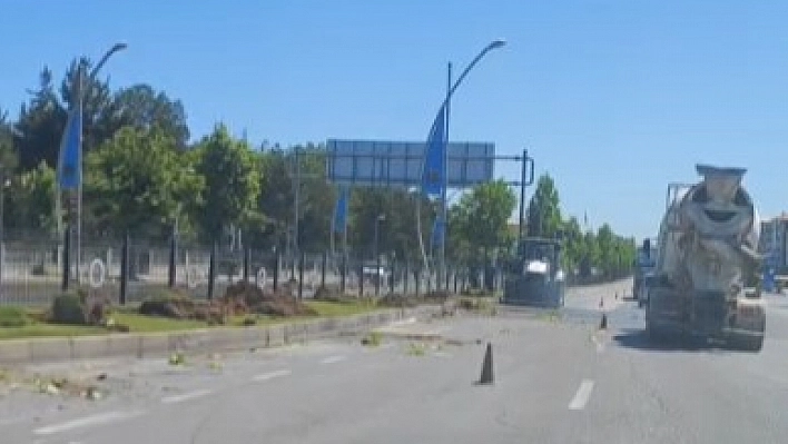 Malatya'da sessiz katliam! Refüjdeki ağaçlar yerinden söküldü!