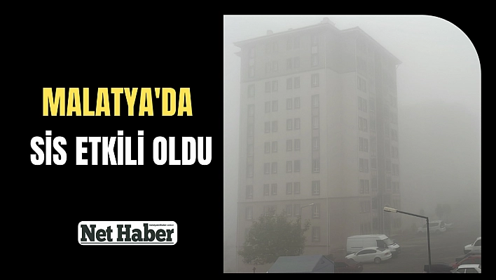 Malatya'da sis etkili oldu