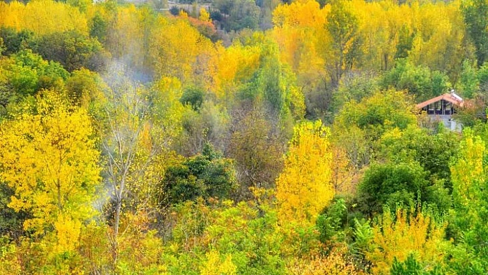 Malatya'da sonbahar