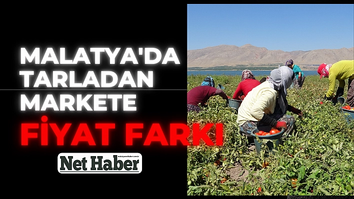 Malatya'da tarladan markete fiyat farkı