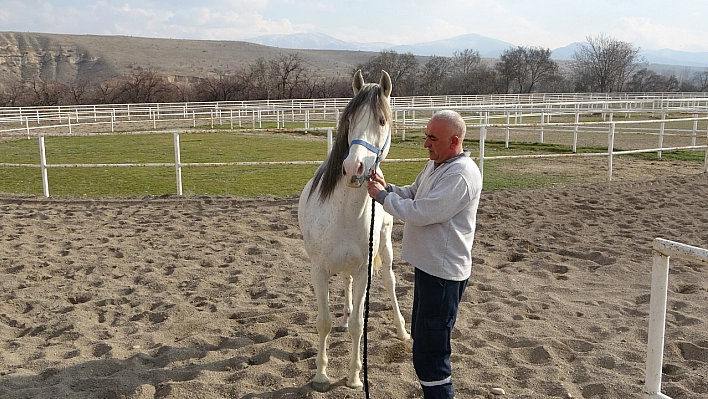 Malatya'da teknoloji kullanılarak inşa edildi!