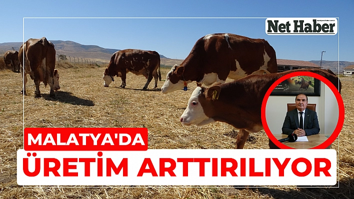 Malatya'da üretim arttırılıyor