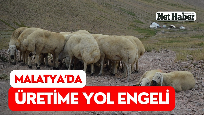 Malatya'da üretime yol engeli