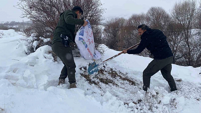 Malatya'da Kar Yağışı Yaban Hayatını Zorluyor, DKMP Ekipleri Yardıma Koştu