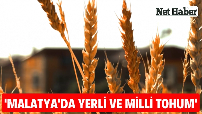 'Malatya'da yerli ve milli tohum'