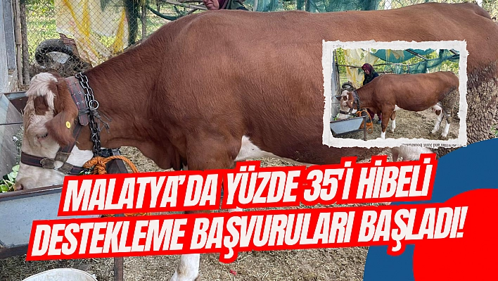 Malatya'da yüzde 35'i hibeli destekleme başvuruları başladı!