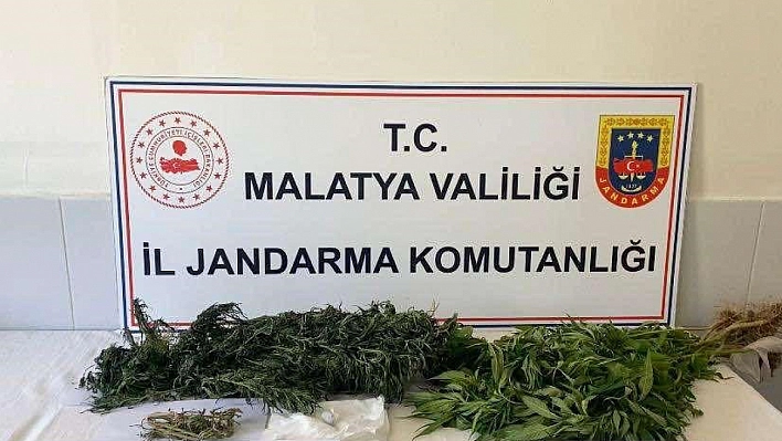 Malatya'da zehir tacirlerine geçit yok