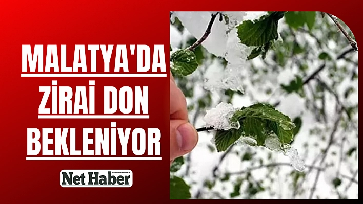 Malatya'da zirai don bekleniyor