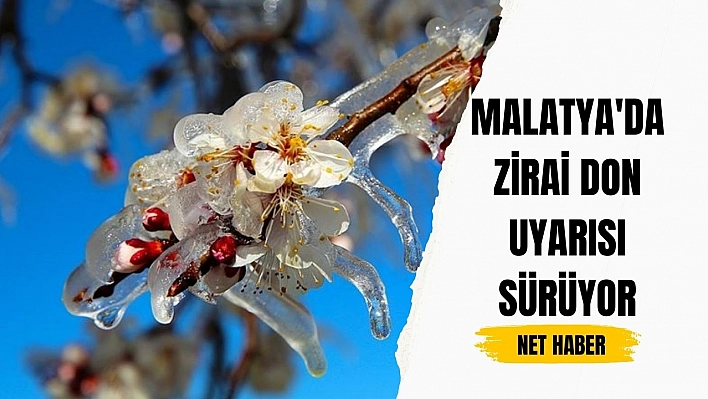 Malatya'da zirai don uyarısı sürüyor