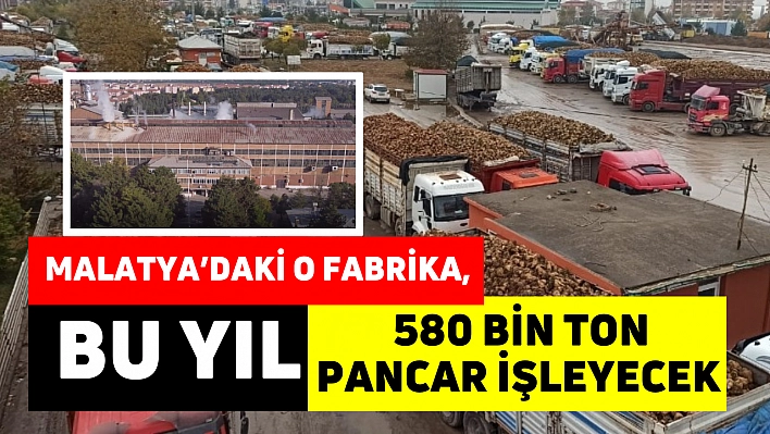 Malatya'daki o fabrika, bu yıl 580 bin ton pancar işleyecek