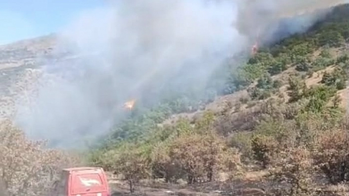 Malatya'daki yangın kontrol altında