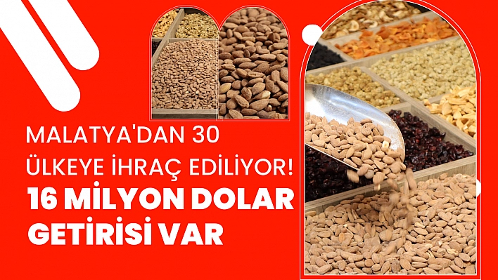 Malatya'dan 30 ülkeye ihraç ediliyor! 16 milyon dolar getirisi var