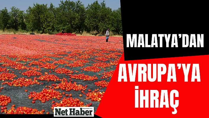 Malatya'dan Avrupa'ya ihraç