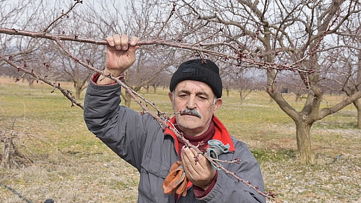 Malatya ısınıyor