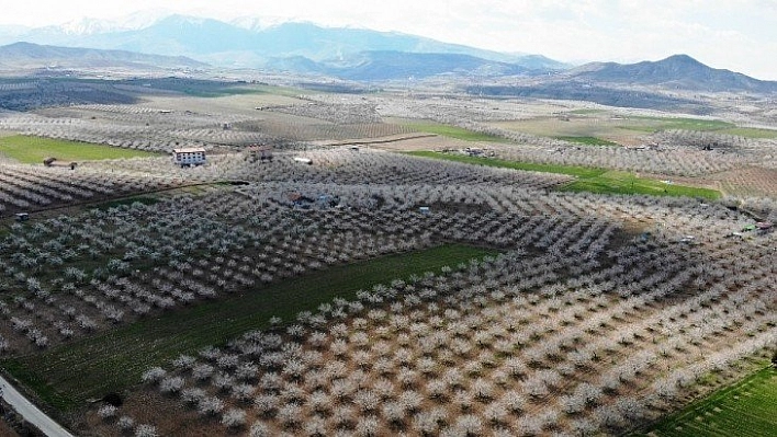 Malatya beyaza büründü