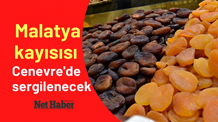 Malatya kayısısı Cenevre'de sergilenecek