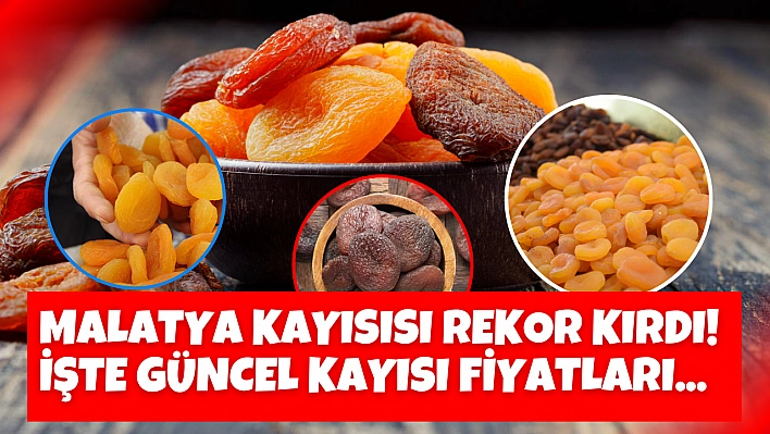 Malatya kayısısı rekor kırdı! İşte güncel kayısı fiyatları...