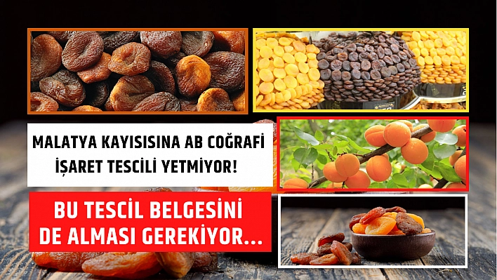 Malatya Kayısısına AB Coğrafi işaret tescili yetmiyor! Bu tescil belgesini de alması gerekiyor...