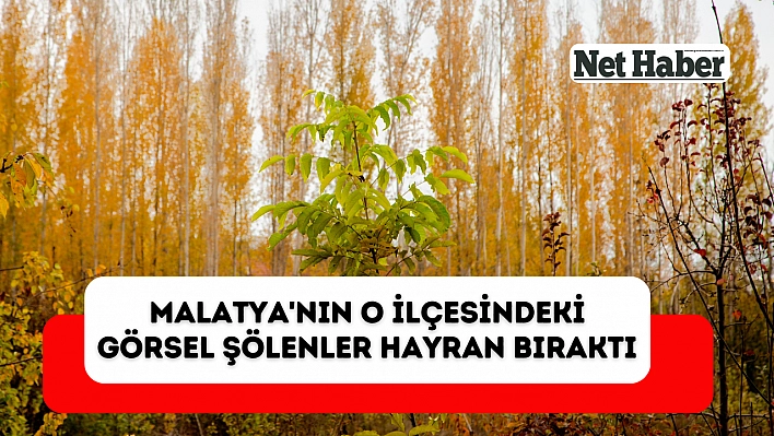 Malatya'nın o ilçesindeki görsel şölenler hayran bıraktı