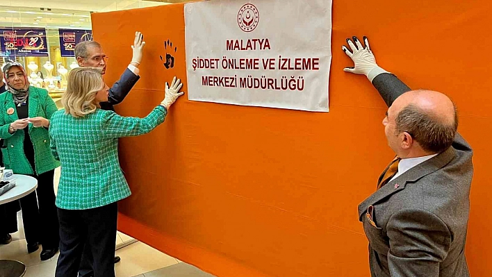 Kadına yönelik şiddetle mücadele etkinliği