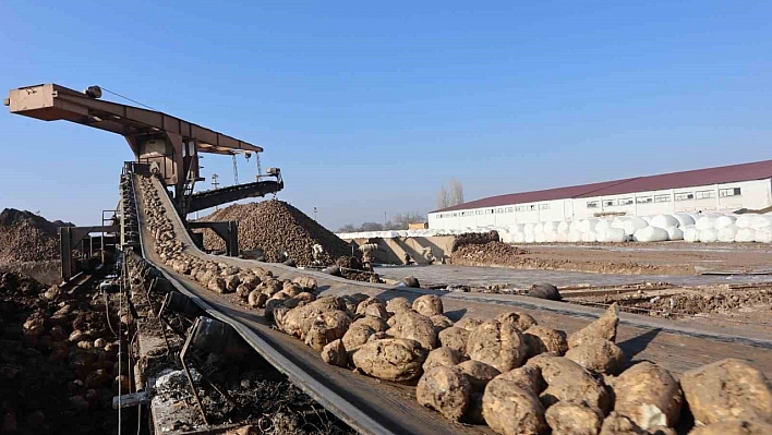 Malatya'da hedef 55 bin ton şeker