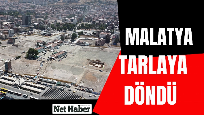 Malatya tarlaya döndü