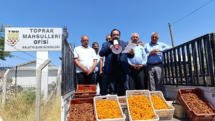 Malatya TMO Önünde İlginç Protesto! Başkan Pikapla Kayısı Sattı!