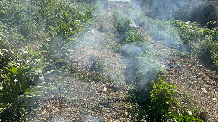 Malatya ve Elazığ Bölgede Birinci...!