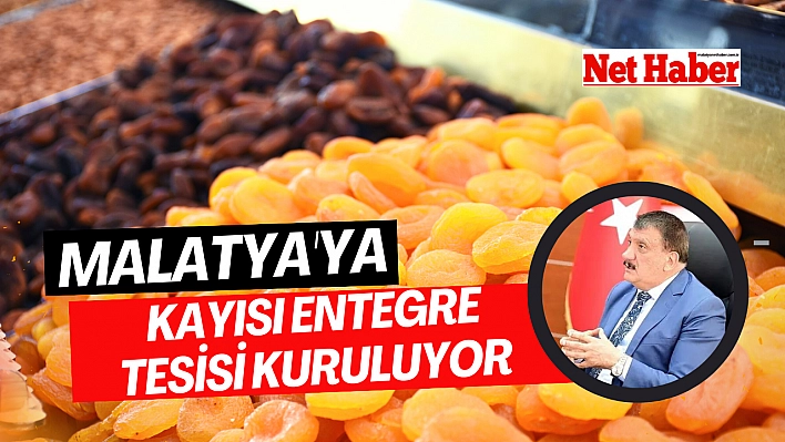 Malatya'ya Kayısı Entegre Tesisi kuruluyor