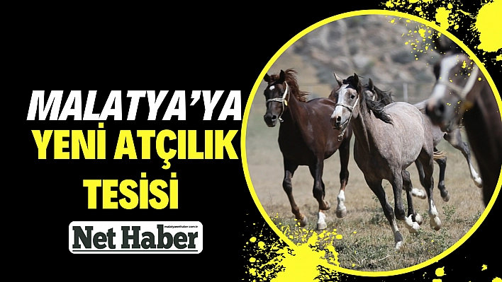 Malatya'ya yeni atçılık tesisi 