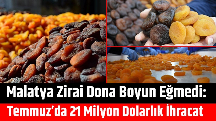 Malatya Zirai Dona Boyun Eğmedi: Temmuz'da 21 Milyon Dolarlık İhracat