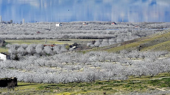 Malatya beyaza büründü