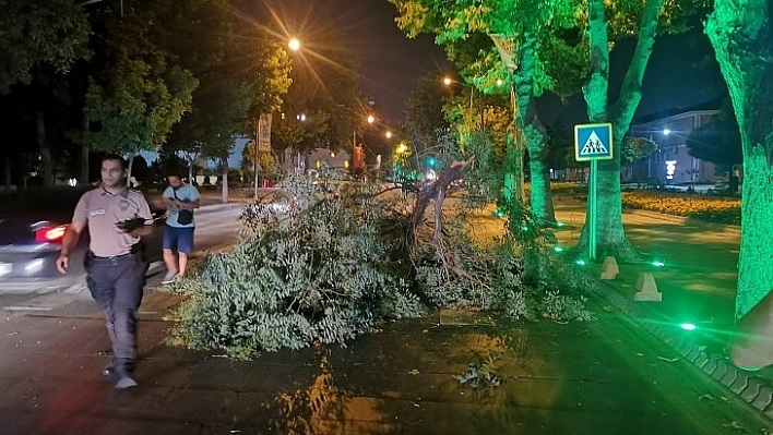 Malatya'da şiddetli rüzgar