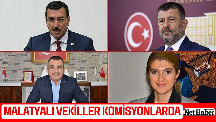 Malatyalı vekiller komisyonlarda