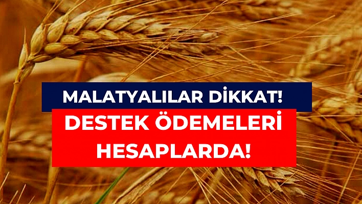 Malatyalılar dikkat! Ödemeleri hesaplarda!