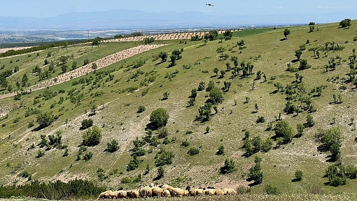 Malatyalıların yayla serüveni başladı