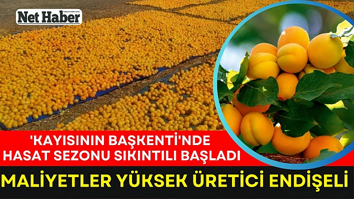 Maliyetler yüksek üretici endişeli