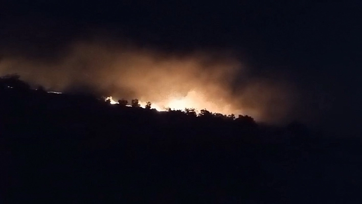 Mardin'de anız yangını söndürüldü