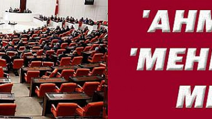 'Ahmet'ler 'Mehmet'ler Meclisi