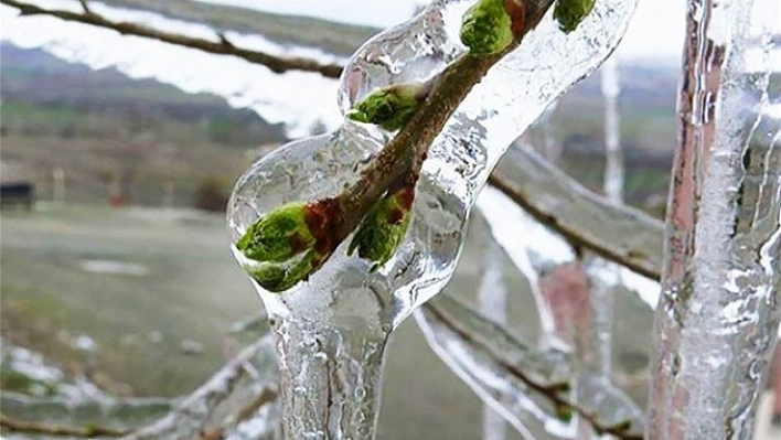 Meteoroloji Çığ Tehlikesi, Buzlanma ve Don Olaylarına Karşı Uyardı