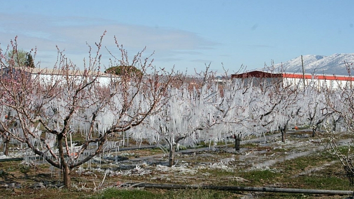 Meteoroloji'den Zirai Don Uyarısı: Malatya, Elazığ, Adıyaman Etkilenecek!