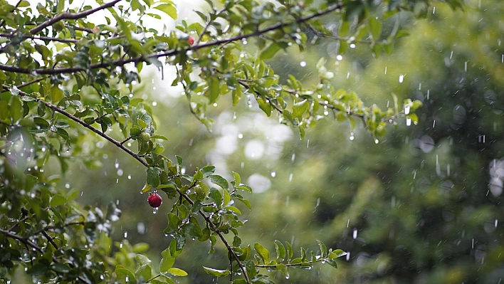 Meteoroloji saat verdi: Malatya'nın 5 ilçesi yağmura teslim olacak!