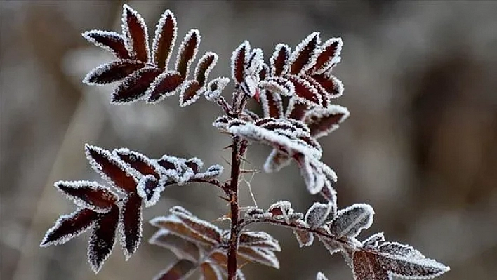 Meteoroloji Uyardı! Malatya İçin Gizli Buzlanma ve Sis Uyarısı Yapıldı…