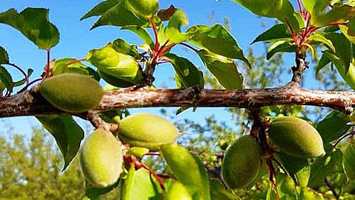 Tedirgin eden uyarı 